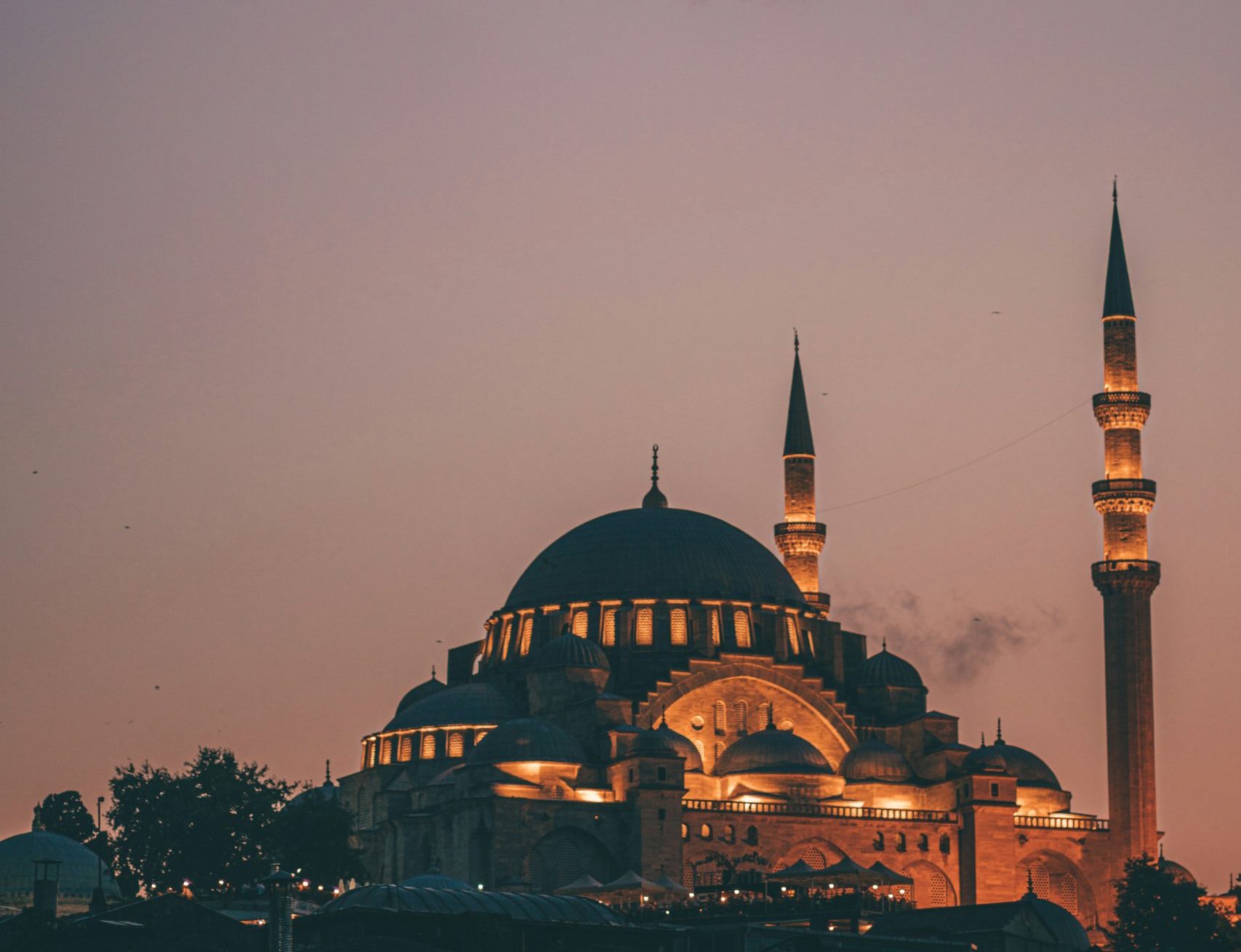 david-billings-EwcvNe53bdM-unsplash